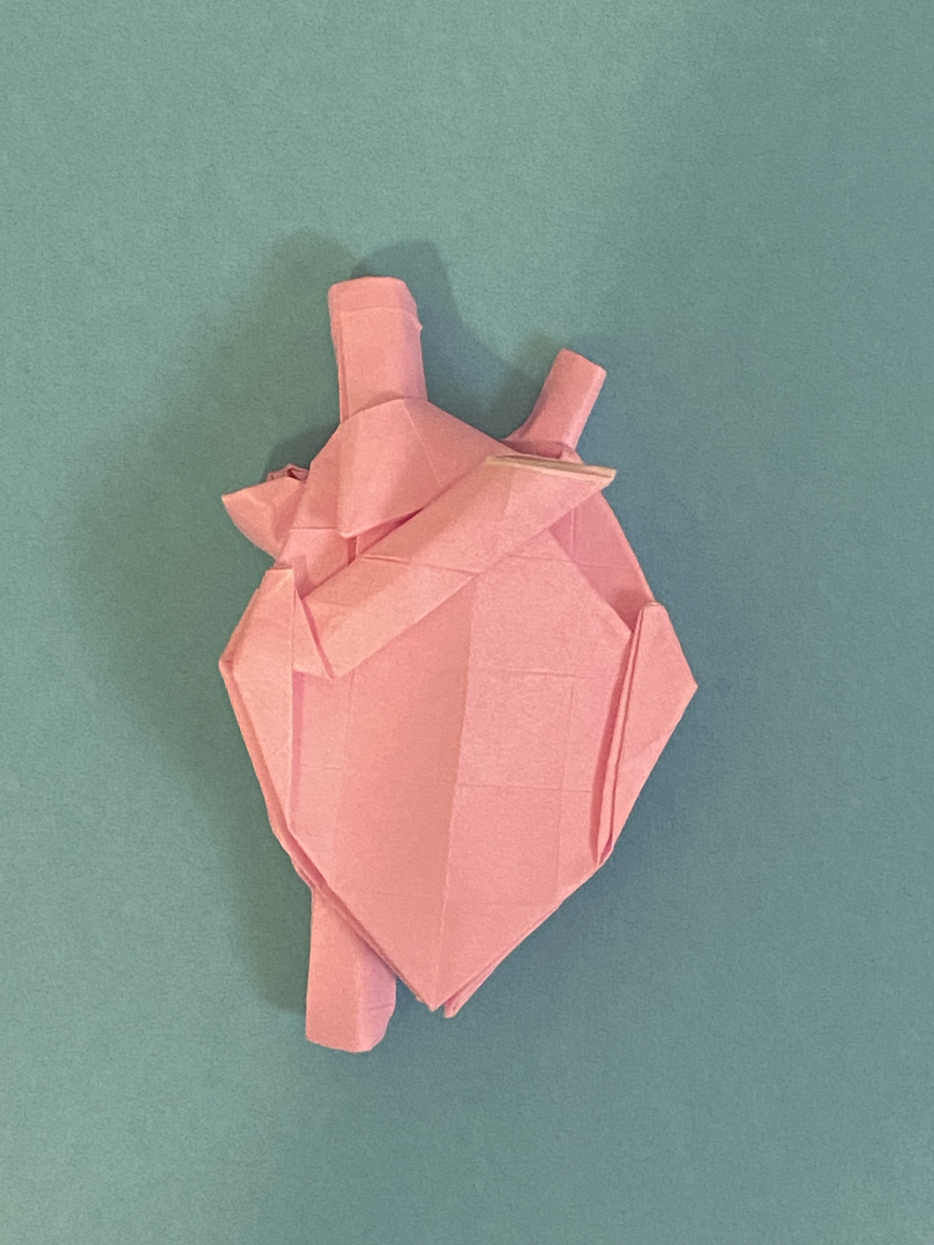 An origami anatomical heart, designed by Ronik Bhaskar.