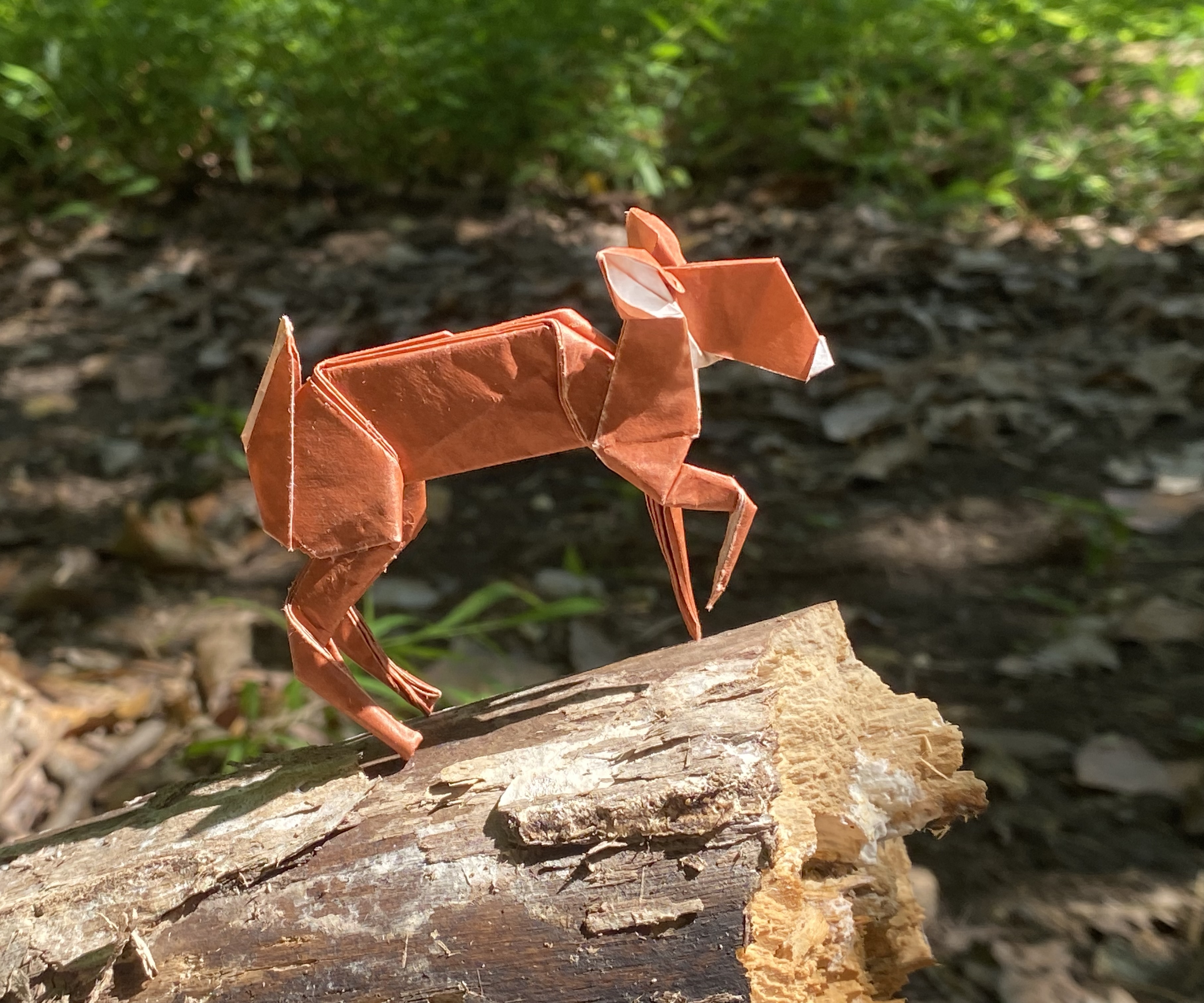 Origami whitetail fawn.